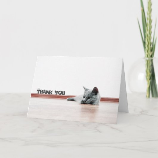 Scottish Fold Cat Kitten Super Niedlich "Danke" Dankeskarte (Vorderseite)