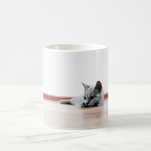 Scottish Fold Cat Kitten Super Niedlich Kaffeetasse (Mittel)