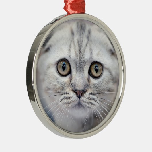 Scottish Fold Cat Ornament Aus Metall (Rechts)