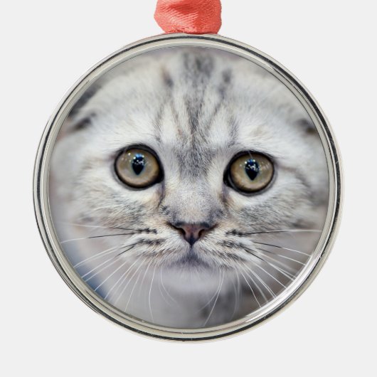 Scottish Fold Cat Ornament Aus Metall (Vorne)
