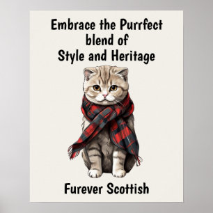 Scottish Fold Cat Poster