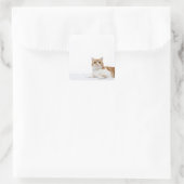 Scottish Fold Cat Quadratischer Aufkleber (Tasche)