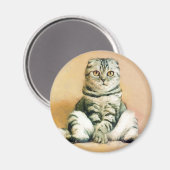 Scottish Fold Cat Sitting Portrait Magnet (Vorderseite/Rückseite)