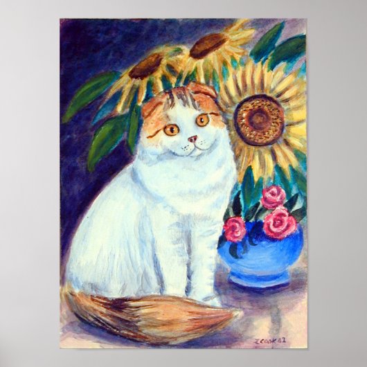 Scottish Fold Cat Wall Print Poster (Vorne)