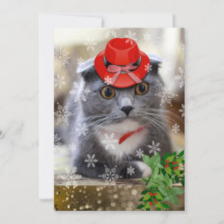 Scottish Fold Christmas Cat Feiertagskarte