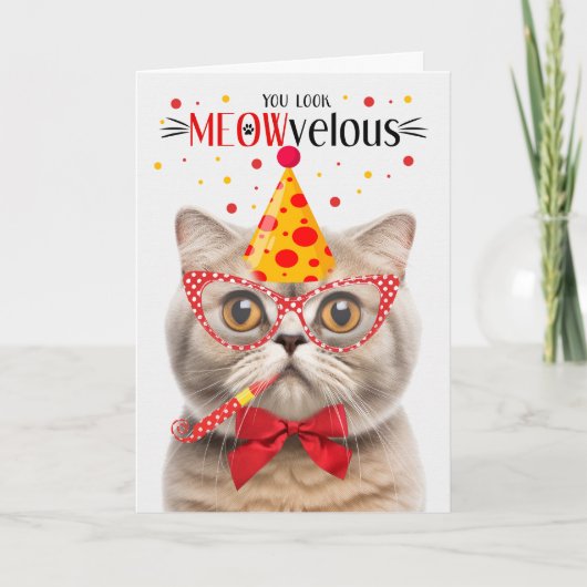 Scottish Fold Cream Cat MEOWvelous Birthday Karte (Vorderseite)