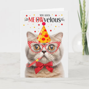 Scottish Fold Cream Cat MEOWvelous Birthday Karte