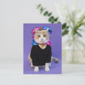 Scottish Fold Jester Postkarte (Stehend Vorderseite)