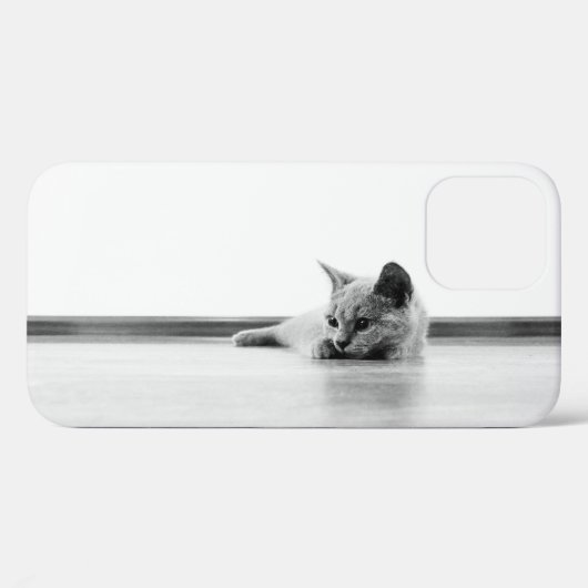 Scottish Fold Kitten Cat Super Niedlich Case-Mate iPhone Hülle (Rückseite (Horizontal))