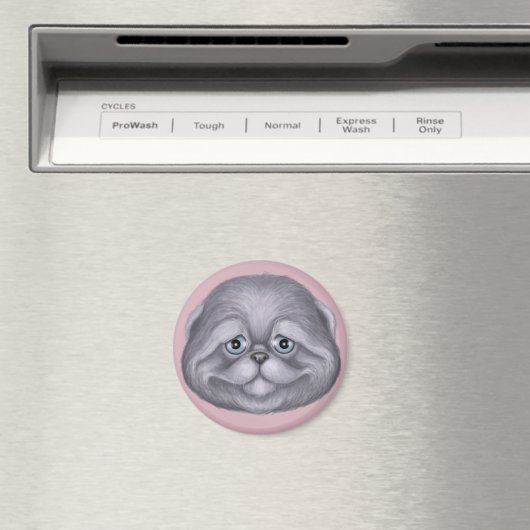 Scottish Fold Kitten Magnet (In Situ (Geschirrspüler))