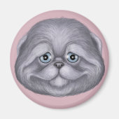 Scottish Fold Kitten Magnet (Vorne)