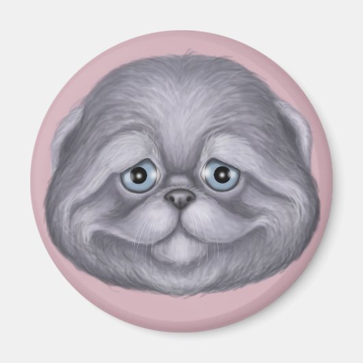 Scottish Fold Kitten Magnet (Vorne)