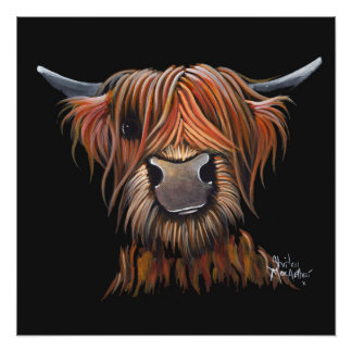 Scottish Hairy Highland Cow 'BRUCE' Print Poster