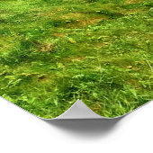 Scottish Hay Clans New Slains Castle Foto Poster (Ecke)