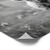 Scottish Highland Calf Baby Cow Poster (Ecke)