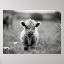 Scottish Highland Calf Baby Cow Soft Schwarz-weiß