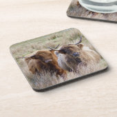 Scottish Highland Cattle Getränkeuntersetzer (Linke Seite)