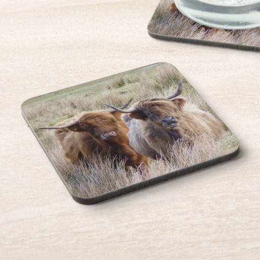 Scottish Highland Cattle Getränkeuntersetzer (Linke Seite)