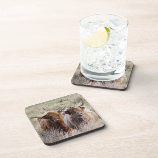 Scottish Highland Cattle Getränkeuntersetzer (Rechte Seite)