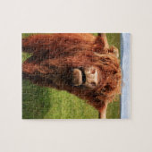 Scottish Highland Cattle - Scotland Puzzle (Horizontal)