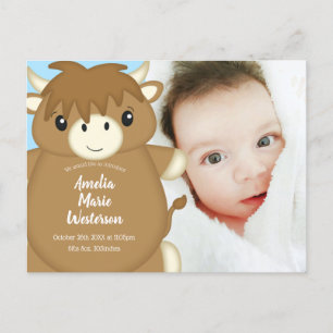 Scottish Highland Cow Baby Shower Blue Postkarte