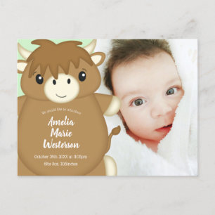 Scottish Highland Cow Baby Shower Green Postkarte