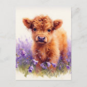 Scottish Highland Cow Calf Lila Wildblumen Postkarte (Vorderseite)