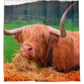 Scottish Highland Cow Duschvorhang (Vorderseite)