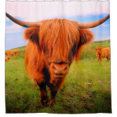Scottish Highland Cow Duschvorhang (Vorderseite)
