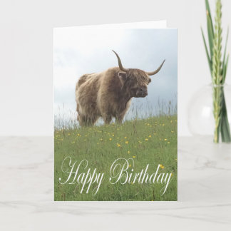 Scottish Highland Cow Karte