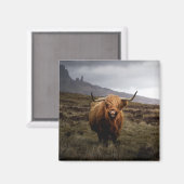 Scottish Highland Cow Kühlschrankmagnet (Vorderseite/Rückseite)