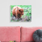 Scottish Highland Cow Leinwand (Insitu (Wohnzimmer))