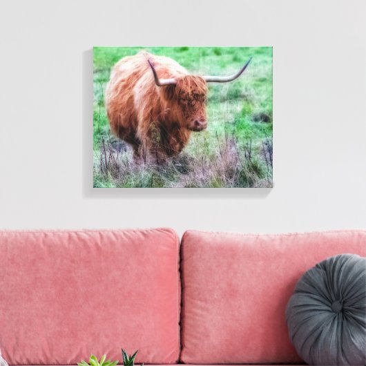 Scottish Highland Cow Leinwand (Insitu (Wohnzimmer))