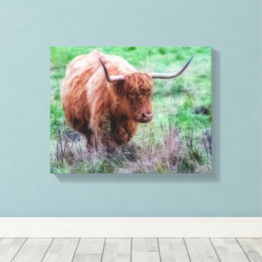 Scottish Highland Cow Leinwand (Insitu (Holzboden))