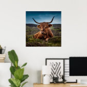 Scottish Highland Cow Longhorn Bull Rancher Poster (Heimbüro)