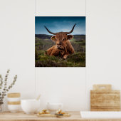 Scottish Highland Cow Longhorn Bull Rancher Poster (Küche)