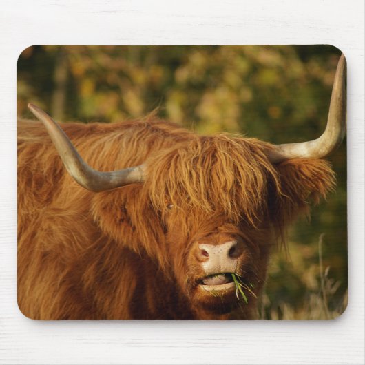 Scottish Highland Cow Mousepad (Vorne)