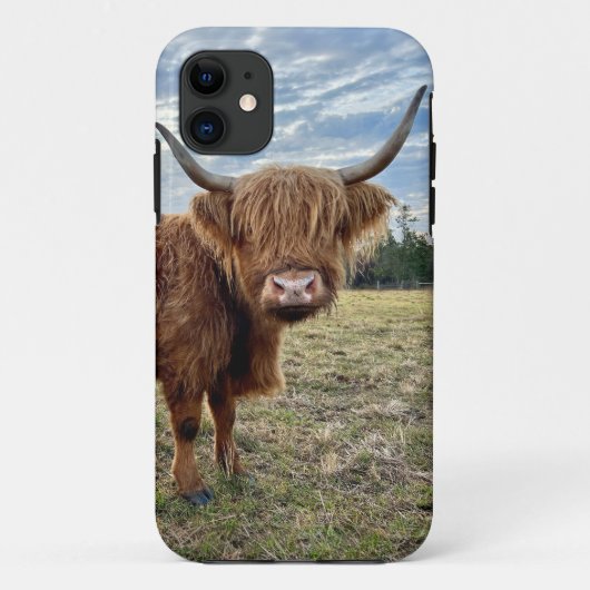 Scottish Highland Cow Portrait Case-Mate iPhone Hülle (Rückseite)
