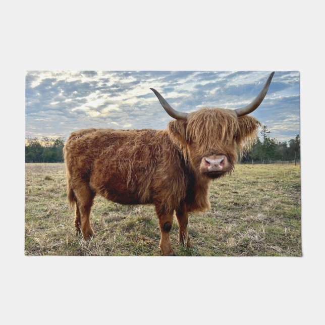 Scottish Highland Cow Portrait Farmhouse Fußmatte (Vorderseite)