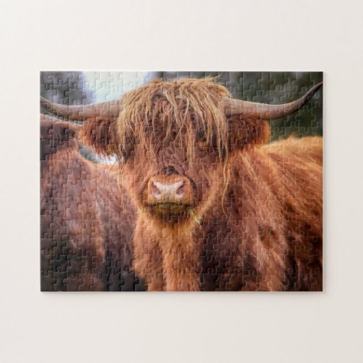 Scottish Highland Cow Puzzle (Horizontal)