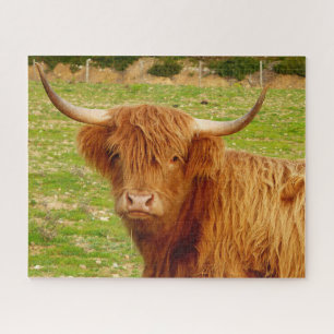 Scottish Highland Cow Puzzle