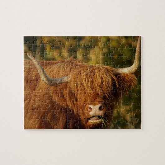 Scottish Highland Cow Puzzle (Horizontal)