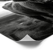 Scottish Highland Cow Schwarz-Weiß Foto Poster (Ecke)