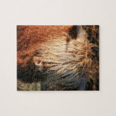 Scottish Highland Cow - Scotland Puzzle (Horizontal)