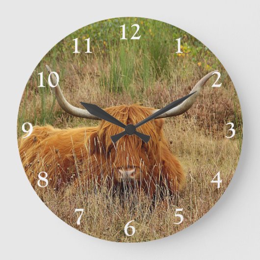 Scottish Highland Cow Square Wall Clock Große Wanduhr (Vorderseite)