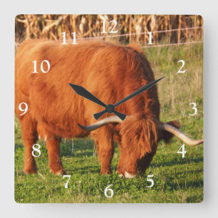 Scottish Highland Cow Square Wall Clock Quadratische Wanduhr