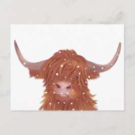 Scottish Highland Cow Winter Postkarte