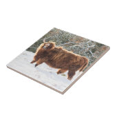 Scottish Highland Fliese (Seite)