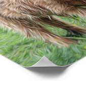 Scottish Highland Kuh Fotoposter Poster (Ecke)