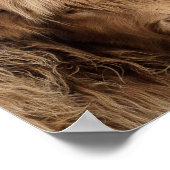 Scottish Highland Kuh Fotoposter Poster (Ecke)